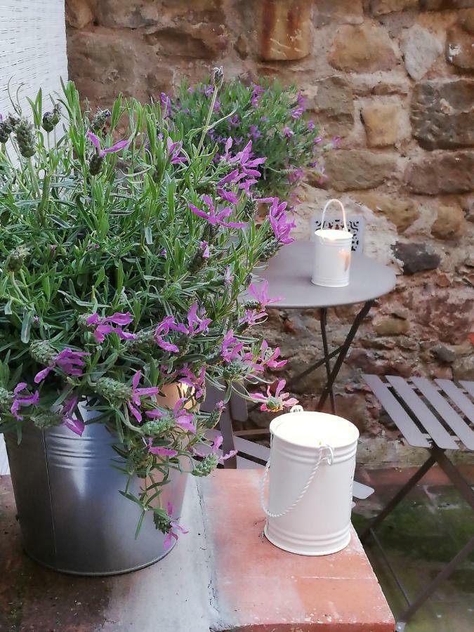 Apartament Casa Dalia Montecatini-Terme Zewnętrze zdjęcie